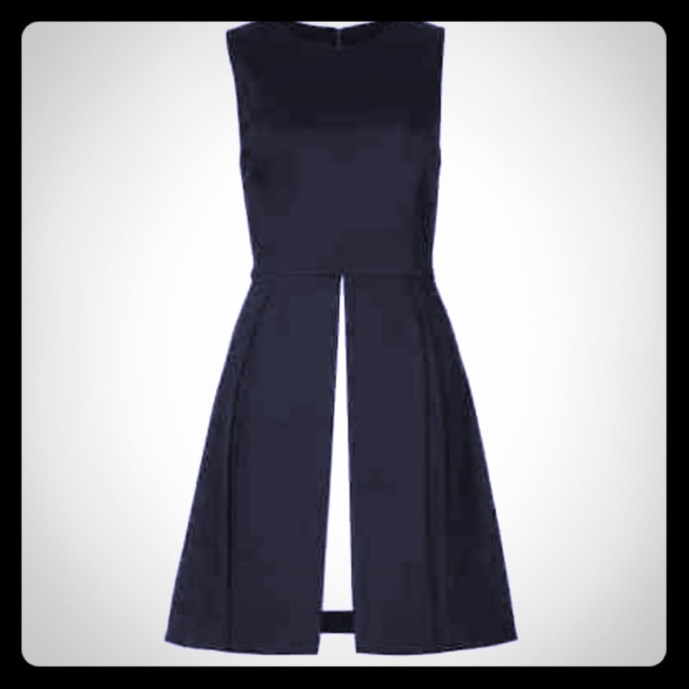Alice and Olivia fit and flare dress